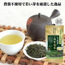 お茶 緑茶 茶葉 静岡 煎茶 『農薬不使用栽培 一作天竜茶』100g お茶の葉桐 煎茶 静岡茶 水出し緑茶 普通蒸し煎茶 エピガロカテキン普段使い 普段飲むお茶 家庭用 毎日飲むお茶 日常茶 05P09Jan16