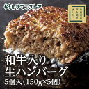 《秘密のケンミンSHOWで紹介！》和牛入り生ハンバーグ 5個入（150g×5個） ステーキ 美味しい ビーフ お取り寄せグルメ 冷凍 ギフト 肉 牛肉 国産牛 プレゼント 贈り物　お礼 人気 送料無料 6815050100310