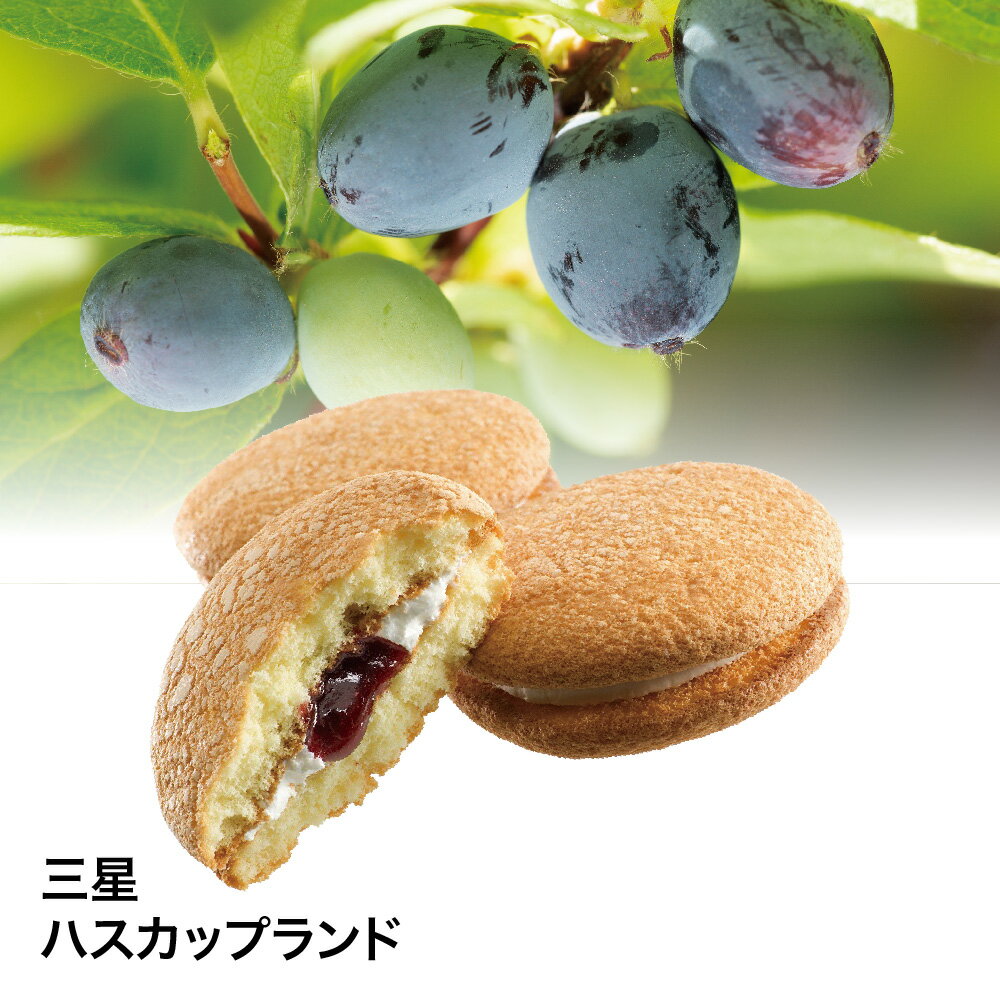 【送料無料】 夏ギフト ハスカップランド ハスカップ ジャム ブッセ お菓子 北海道 銘菓 贈り物 プレゼント ギフト お中元 残暑見舞い 4907284000138 SS155