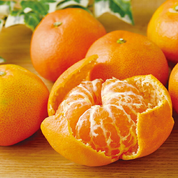 【送料無料】冬ギフト 【生産者の声を聞きました。】静岡県産 天与の味覚マルナみかん お歳暮 ギフト プレゼント 6812800101269 SS009のサムネイル