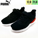 20OFF@v[} PUMA AU xN 372924 ʊw wZ yqELbYz