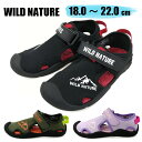 ウォーターシューズ 男の子 女の子 2200 WILD NATURE ワイルドネイチャー 水遊び 川 海 【子供・キッズ】