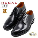 [K REGAL 2504NA ubN C rWlXV[Y v[gD yYz