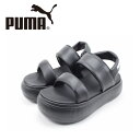 PUMA v[} 399451-02 EBY } ptB[ T_ yfB[Xz