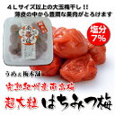 紀州完熟南高梅　超大粒　はちみつ漬梅干　480g入り　塩分7％　うめぇ梅本舗 うめぼし 大玉