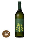 【送料無料】CHILL GREEN spicy&citrus 25度 720ml×6本 濱田酒造 麦焼酎 チルグリーン スパイシー&シトラス