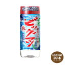 【送料無料】ビッグマン　25度　220ml×30本 カップ　合同酒精　焼酎甲類