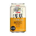 浅草ハイボール 電氣ブランサワー 5% 350ml×24本 1ケース 電気ブラン チューハイ 合同酒精