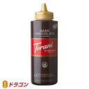 トラーニ ピュアメイド ソース チョコレートモカソース 468g