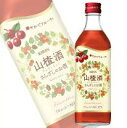 山ザシ酒 永昌源 500ml リキュール さんざしちゅう