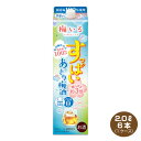 【送料無料】すっぱい あっさり梅酒 2.0L×6本 1ケース 2000ml パック 合同酒精