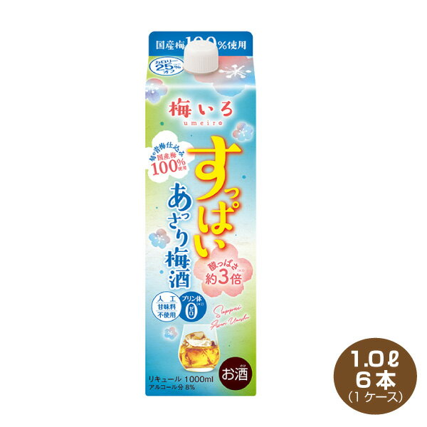 送料無料 すっぱい あっさり梅酒 1.0L×6本 1ケース 1000ml パック 合同酒精