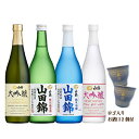 【送料無料】白鶴 清酒飲み比べセット 720ml×4本 日本酒セット おちょこ付 ギフト 父の日 お中元