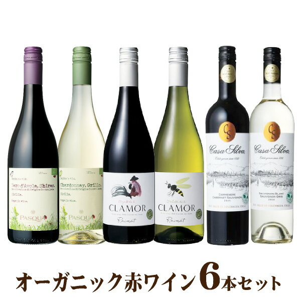 楽天焼酎屋ドラゴン【送料無料】オーガニック 赤・白ワイン6本セット ワインセット 飲み比べ チリ スペイン イタリア kokubu 父の日ギフト