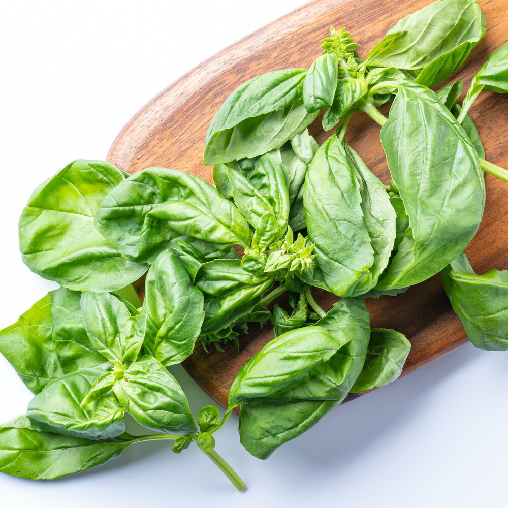 �Х��륪�꡼�֥����� ñ�� 100ml ����Ȣ���� BASIL OLIVE OIL �Х��륪���� �����ꥢ�� �ϡ��� �ϡ��֥����� �ϡ����� �� ���� �Х��륽���� ��̣�� ���� �ѥ��� �ԥ� �������� �ܳ� ��ǽĴ̣�� £��ʪ ������ ����� ���� ��Ʀ��ե����ȥ꡼ SHODOSHIMA FACTORY