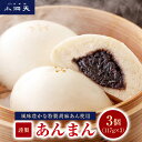 【小洞天のあんまん】TV紹介多数! 3個セット | ごま 胡麻 あんまん 中華まん 大サイズ 点心 惣菜 お取り寄せ お祝い ギフト 東京 名物 土産 つぶしあん こしあん つぶあん めざましテレビ シューイチ お歳暮 年賀 慶事