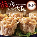 【ラヴィット！で紹介】小洞天 ポークシュウマイ 15個入 630g｜農水省優良外食産業賞受賞 ランキング1位 シュウマイ 焼売 しゅうまい シウマイ 豚肉 ジャンボ TV メディア 大粒 惣菜 惣菜セット 東京土産 東京名物 日本橋 土産 老舗 ギフト お取り寄せ