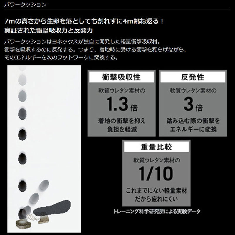 3E 幅広 ワイド ヨネックス メンズ レディース パワークッション 507 テニス 靴 シューズ 競技 カーペットコート用 送料無料 YONEX SHT507 2