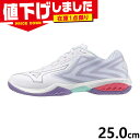 在庫1点限り 25.0cm 2E相当 ミズノ メンズ レディース ウエーブクローEL2 FIT バドミントン 靴 シューズ 競技 オールラウンダー スポーツ 軽...