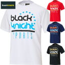 ブラックナイト メンズ レディース ドライTシャツ バドミントン ウェア 競技 Tシャツ 部活 練習 トレーニング 吸汗 速乾 UVケア 半袖 ホワイト 白 ブラック 黒 ブルー レッド 青 赤 送料無料 black knight T-5103U(4)