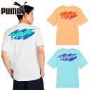 プーマ メンズ メンズ サマー MX グラフィック 半袖 Tシャツ アパレル カジュアル ホワイト 白 ブルー 青 オレンジ PUMA 686876