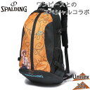 32L スポルディング スポーツ メンズ レディース ケイジャー ONE PIECE メラメラの実 バスケットボール 競技 バスケ バッグ ワンピース エース オレンジ 送料無料 spalding 40-007PMM