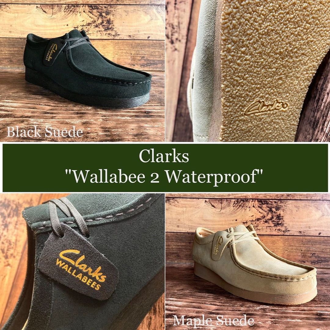 クラークス メンズ ワラビー2ウォータープルーフ 靴 シューズ 防水 2E スエード 22FW 送料無料 Clarks 26166734 26166735