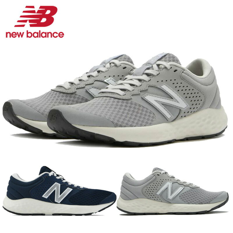 ニューバランス メンズ レディース 靴 シューズ スニーカー ローカット ランニングシューズ ウォーキング 23FW 送料無料 New Balance WE420GW2 2E WE420NG2 2E