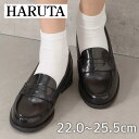 n^ HARUTA 4505 fB[X [t@[ wC ʊw w C  { Y 傫TCYΉ 25.0cm 25.5cm ubN