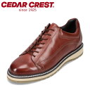 セダークレスト CEDAR CREST CC-1551 メンズ靴 靴 シューズ 3E相当 カジュアルシューズ レザーシューズ 革靴 撥水 晴雨兼用 エコ シンプル 定番 ワイン