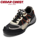 【25日まで毎日4H限定★P10倍】セダークレスト CEDAR CREST CC-1938 メンズ靴 靴 シューズ スニーカー ローカットスニーカー アウトドア レジャー レースアップ 人気 ブランド ブラック