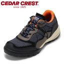 【25日まで毎日4H限定★P10倍】セダークレスト CEDAR CREST CC-1938 メンズ靴 靴 シューズ スニーカー ローカットスニーカー アウトドア レジャー レースアップ 人気 ブランド ネイビー