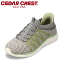 【25日まで毎日4H限定★P10倍】セダークレスト CEDAR CREST CC-2508 レディース靴 靴 シューズ 2E スニーカー スパットシューズ ロー...