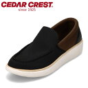 【25日まで毎日4H限定★P10倍】セダークレスト ウォッシャブル CEDAR CREST CC-1235 メンズ靴 靴 シューズ E カジュアル シューズ ス...