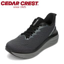 セダークレスト CEDAR CREST CC-9900M メンズ靴 靴 シューズ 3E相当 スニーカー 幅広 高反発 クッション性 ストレッチ 反射材 高機能 ...