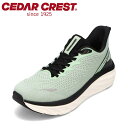 セダークレスト CEDAR CREST CC-9900M メンズ靴 靴 シューズ 3E相当 スニーカー 幅広 高反発 クッション性 ストレッチ 反射材 高機能 ...