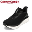 【25日まで毎日4H限定★P10倍】セダークレスト CEDAR CREST CC-9900W レディース靴 靴 シューズ 3E相当 スニーカー 幅広 高反発 ク...