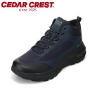【全品P15倍!15日00:00~24H限定】セダークレスト CEDAR CREST CC-9854 メンズ靴 靴 シューズ 2E スニーカー 厚底 クッション性 衝撃吸収 弾力性 高反発 伸縮性 柔らかい フィット ニット ローカットスニーカー 反射材 ネイビー