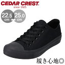 Z [NXg Xj[J[ fB[X fB[XXj[J[ JWAXj[J[ JWAV[Y ubN  [Jbg 傫TCY EH[LOV[Y EH[LO ʋ ʊw eco CEDAR CREST CC-9408W `  C