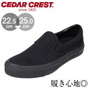 【25日まで毎日4H限定★P10倍】セダークレスト スニーカー レディース レディーススニーカー カジュアルスニーカー スリッポン 軽い 軽量 カジュアルシューズ ブラック 黒 ローカット 大きいサイズ ウォーキングシューズ ウォーキング 通勤 通学 eco CEDAR CREST CC-9410W