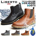 【あす楽対応】【送料無料】LiBERTO E