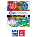 p ECO CRYSTAL GRNX^ ϐ  A4 250 [U[v^[  TWD100S-A4G Ev ~l[g pE` sdgs eco pyTOMOEGAWAzySAKAE TPzyg`}zygG z