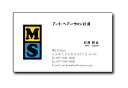名刺 作成 名刺 印刷【名前デザイン名刺・イニシャル(1セット100枚)・ケース付】