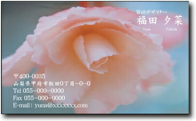 名刺 作成 名刺 印刷【オリジナル名刺(1セット100枚)・ケース付】表示価格はモノクロ名刺(文字のみ)の料金です。正確な料金は当店からのメールでご連絡させてい...