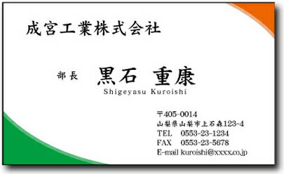 名刺 作成 名刺 印刷【カラー名刺・エッグ(1セット100枚)・ケース付】