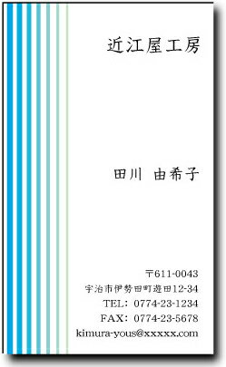 名刺 作成 名刺 印刷【カラー名刺・ストライプ(1セット100枚)・ケース付】