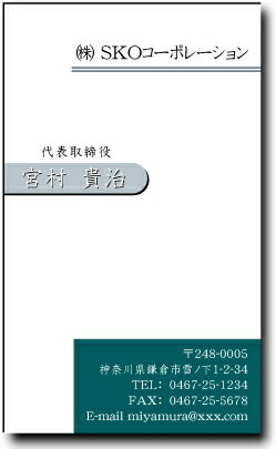 名刺 作成 名刺 印刷【カラー名刺・ライン(1セット100枚)・ケース付】