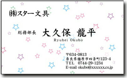 名刺 作成 名刺 印刷【カラー名刺・スター(1セット100枚)・ケース付】