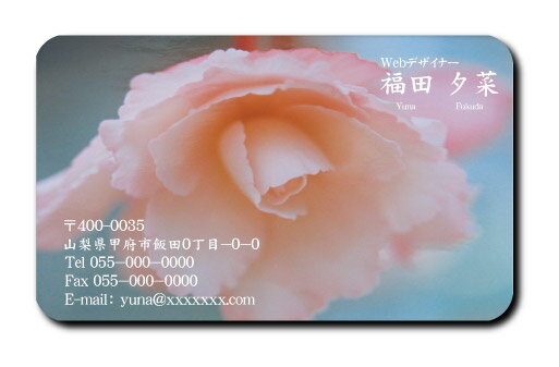 名刺 作成 名刺 印刷【角丸名刺 角丸加工(1セット100枚)・ケース付】