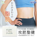 【LINE追加で最大500円オフ】第2類医薬品 攻肥聖健 防風通聖散と同一成分 皮下脂肪 漢方ダイエット 便秘 肥満 むくみ 効果 吹き出物 ニキビ こうひせい...